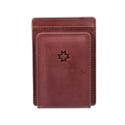 Men Brown Wallet