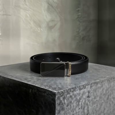 Men Black-brown Belts