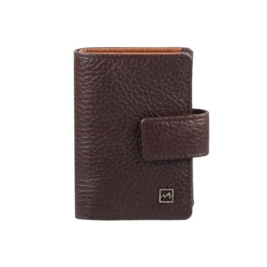 Men Brown Wallet