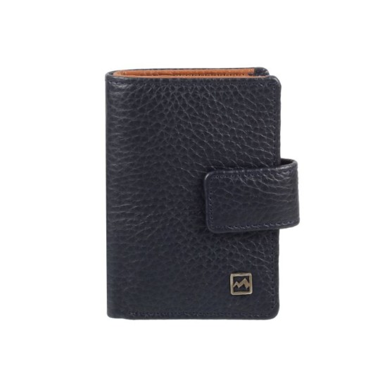Men Blue-Navy Wallet